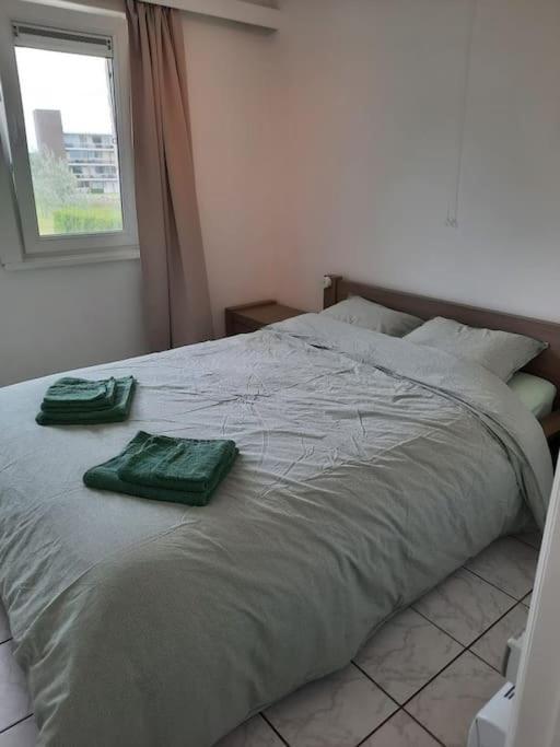 Spacieux Duplex Pres De La Mer 4 Chambres 2 Sdb De Haan Exteriör bild
